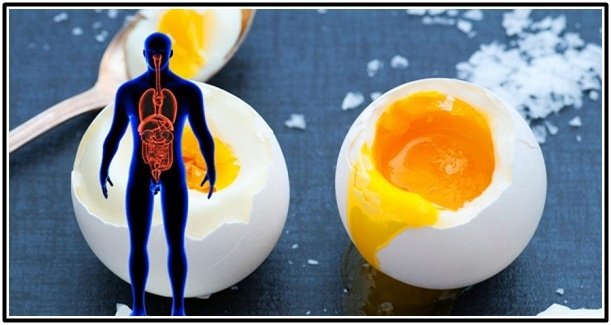 ما هي الآثار المترتبة على استهلاك البيض بشكل منتظم على الجسم؟