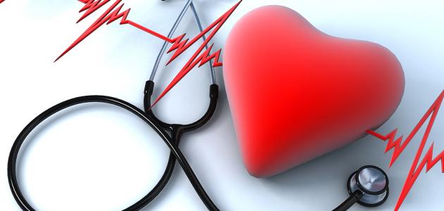 القلب من أهم الأعضاء في جسم الأنسان وهنا بعض الأغذية التي تجعلة في صحة جيدة