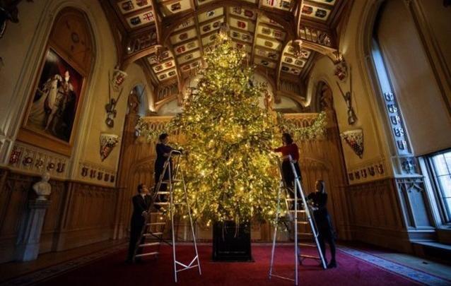أشجار أعياد الميلاد تنتشر في عيد الميلاد شاهدي اجملها حول العالم
